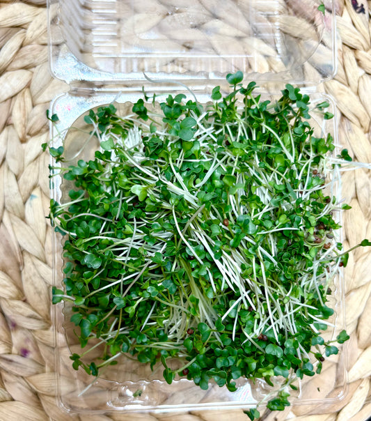 Basic Salad Mix Microgreens